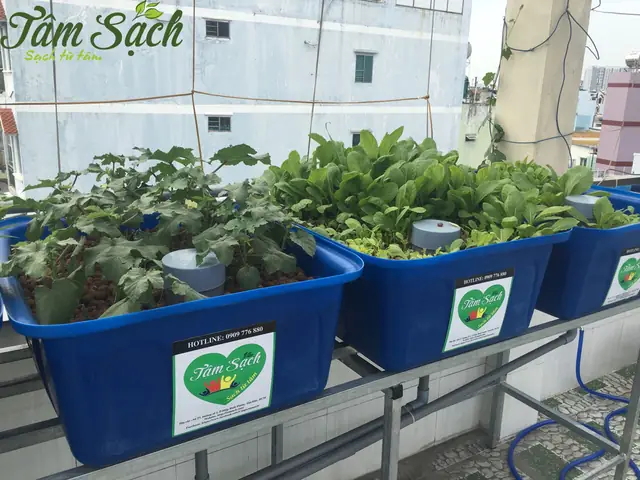 Công Dụng Của Kỹ Thuật Nuôi Cá Kết Hợp Trồng Cây