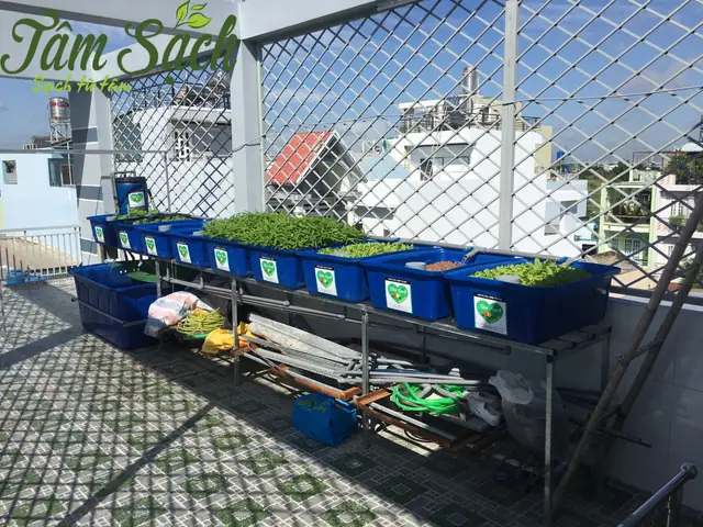 Cách Bố Trí Bể Cá Và Cây Trồng