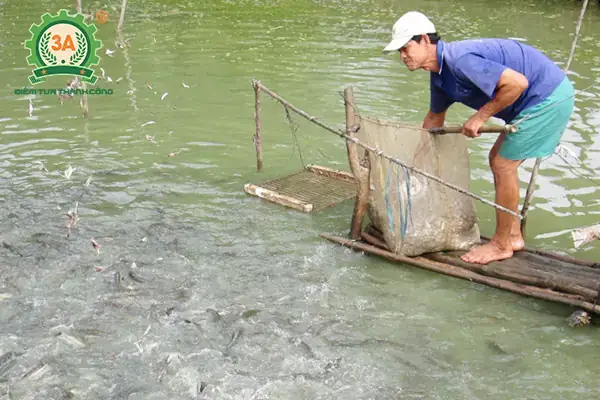 Chuẩn Bị Ao/bể Nuôi Chuẩn Bị Ao/bể Nuôi