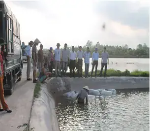 Quản Lý Sức Khỏe Và Phòng Bệnh