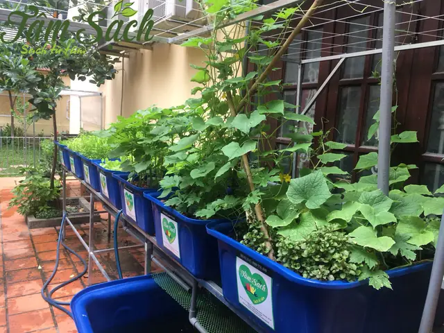 Nguyên Lý Hoạt Động Của Mô Hình Aquaponics Nguyên Lý Hoạt Động Của Mô Hình Aquaponics