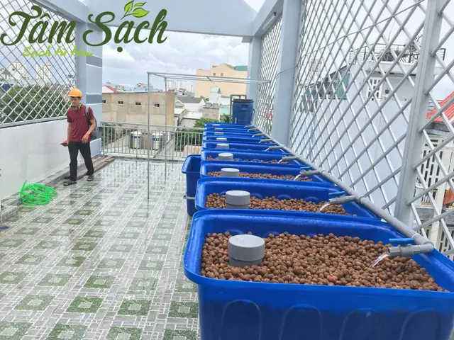 Hệ Thống Bơm Tuần Hoàn Hệ Thống Bơm Tuần Hoàn