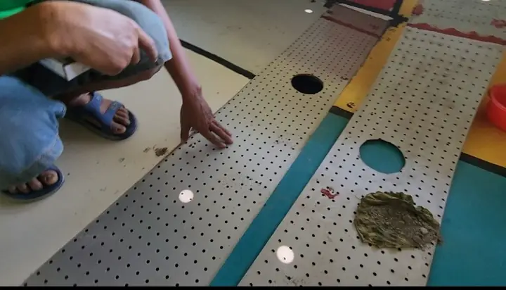 Kỹ Thuật Xây Hồ Nuôi Cá