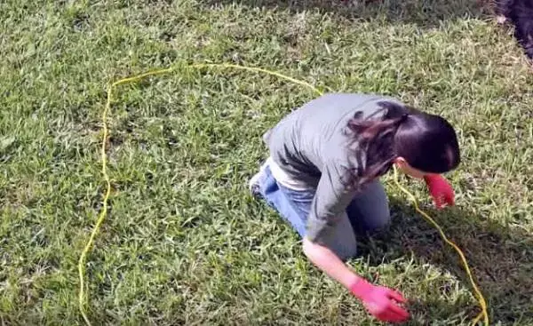 Những Điều Cần Chuẩn Bị Trước Khi Bắt Tay Vào Làm Ao Cá Mini