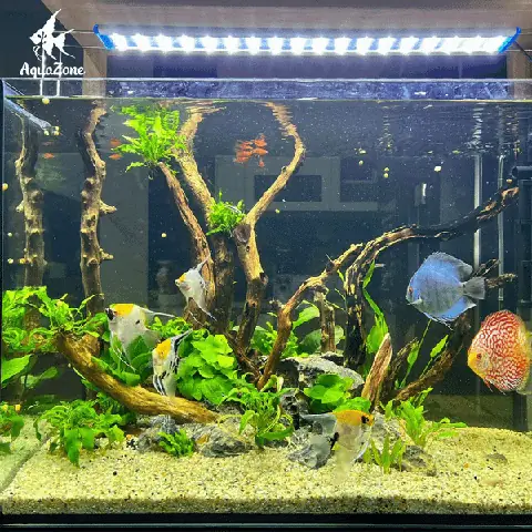 Đá, Sỏi, Lũa Và Các Trang Trí Khác