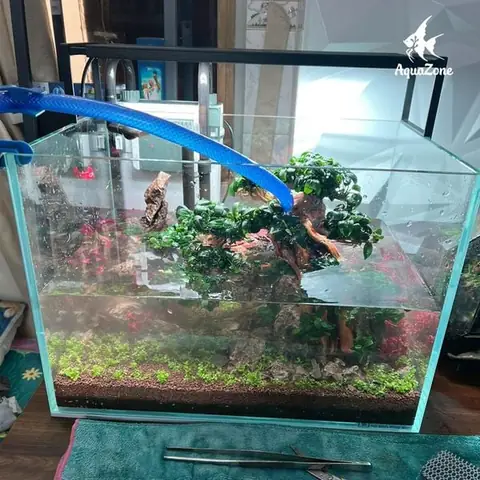 Bước 2: Xử Lý Nước Khi Làm Bể Cá Mini