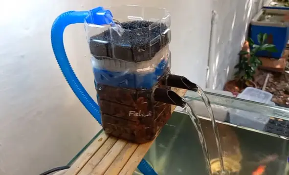 Làm Hồ Cá Bằng Bình Nước: Hướng Dẫn Chi Tiết Cho Người Mới Bắt Đầu