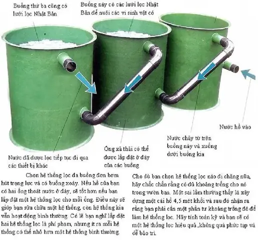 Làm Hồ Cá Bằng Bình Nước: Hướng Dẫn Chi Tiết Cho Người Mới Bắt Đầu