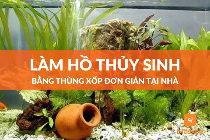 Cách Làm Hồ Thủy Sinh Bằng Thùng Xốp Tại Nhà – Btaskee