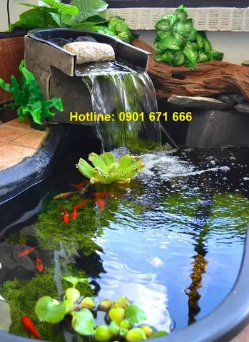 Làm Hồ Cá Biên Hòa