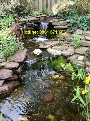 Làm Hồ Cá Biên Hòa