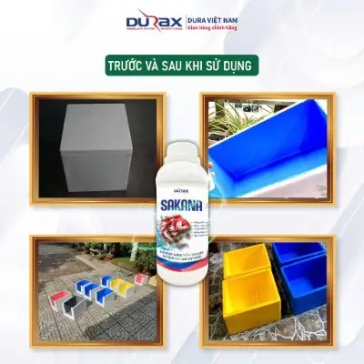 Tăng Tính Thẩm Mỹ Cho Hồ Cá