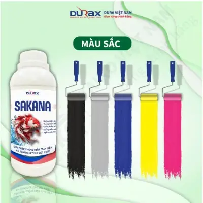 Vì Sao Hồ Cá, Hồ Xi Măng Dễ Bị Thấm Và Rêu Mốc