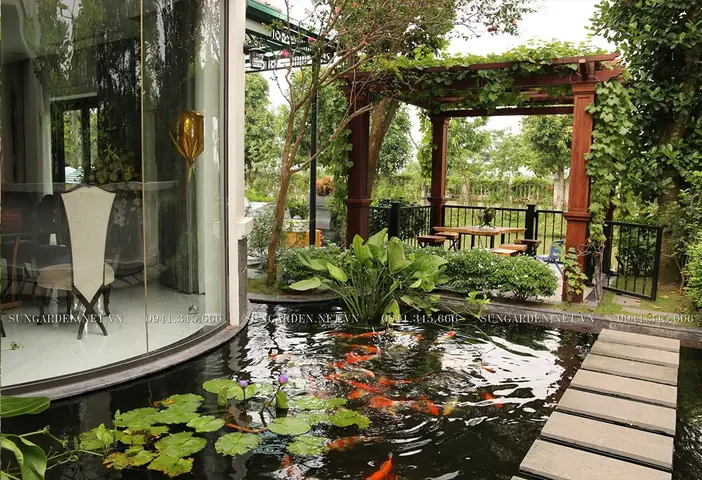 Tiêu Diệt Rêu Tảo Bằng Cây Thuỷ Sinh