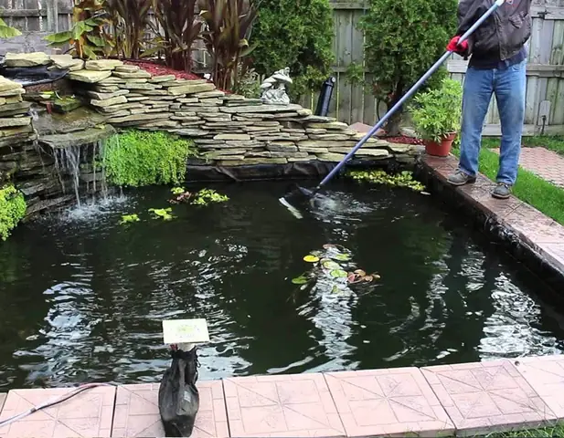 Thay Nước Và Vệ Sinh Hồ Theo Định Kỳ