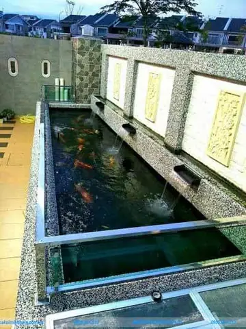 Làm Hồ Cá Koi Đẹp