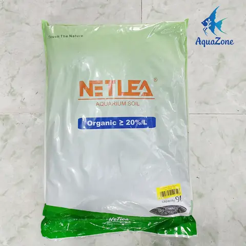 Chuẩn Bị Đất Nền