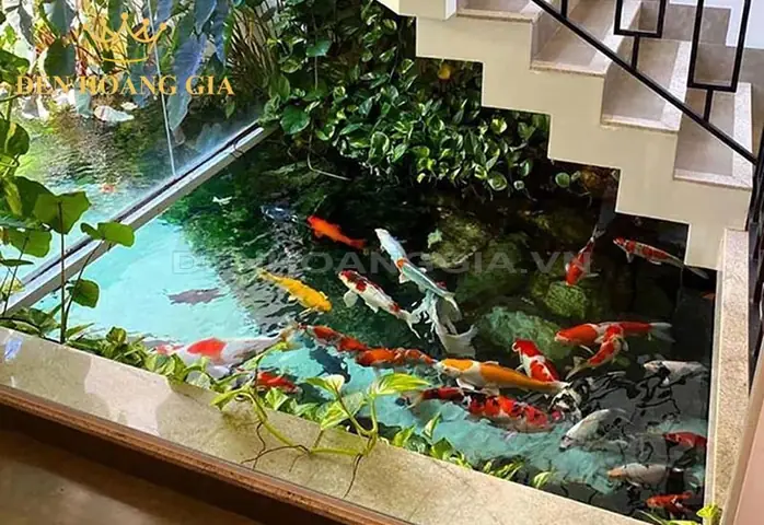 Bể Cá Koi Trong Nhà Mang Lại May Mắn, Tài Lộc