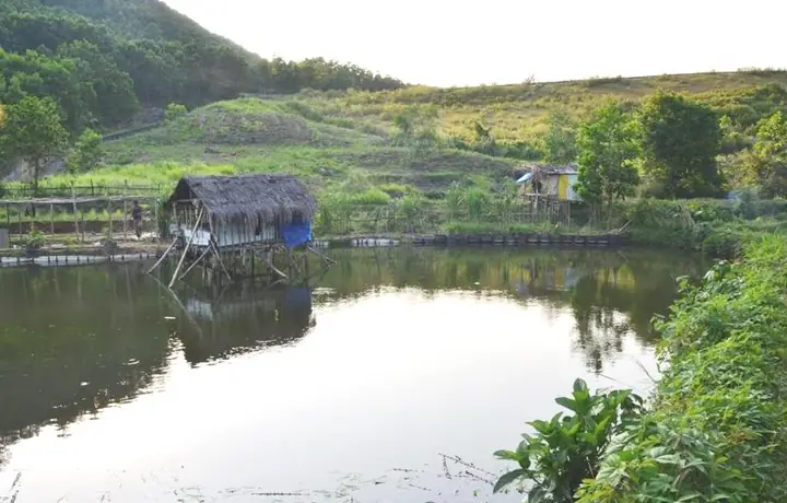 Lấy Lốp Xe Làm Bờ Hồ Nuôi Cá