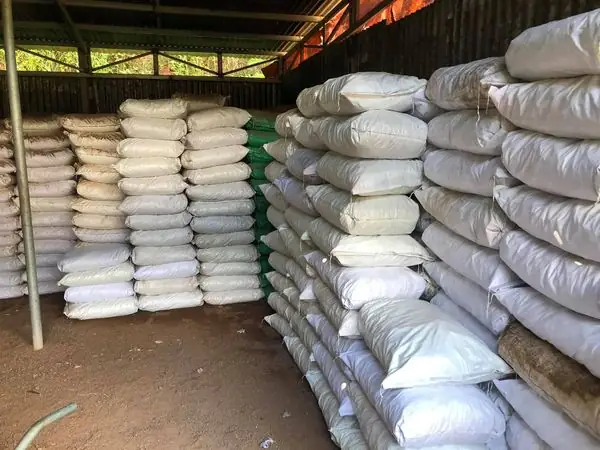 Vật Liệu Lọc Thiết Yếu Cho Hệ Thống Lọc Hồ Koi Ngoài Trời Vật Liệu Lọc Thiết Yếu Cho Hệ Thống Lọc Hồ Koi Ngoài Trời