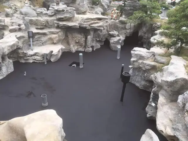 Bộ Phận Hút : Giúp Đảm Bảo Vệ Sinh Mặt Hồ Và Đáy Hồ Bộ Phận Hút : Giúp Đảm Bảo Vệ Sinh Mặt Hồ Và Đáy Hồ