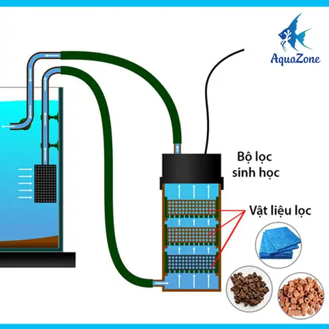 Tại Sao Cần Hệ Thống Lọc Nước Cho Hồ Cá