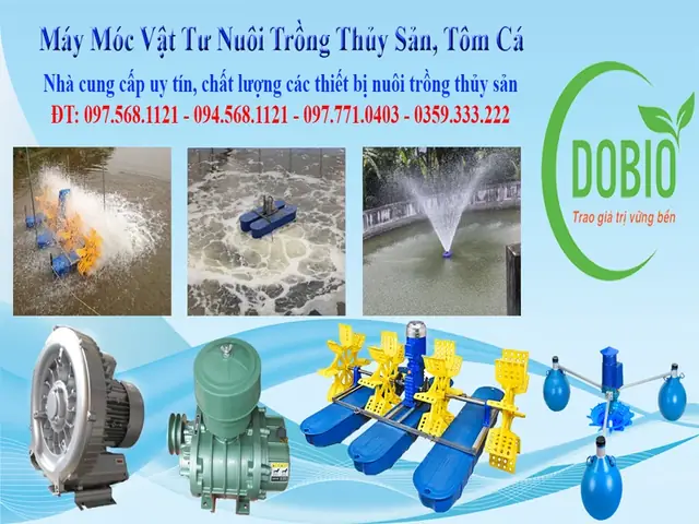 Ưu Điểm Khi Sử Dụng Máy Cho Cá Ăn: