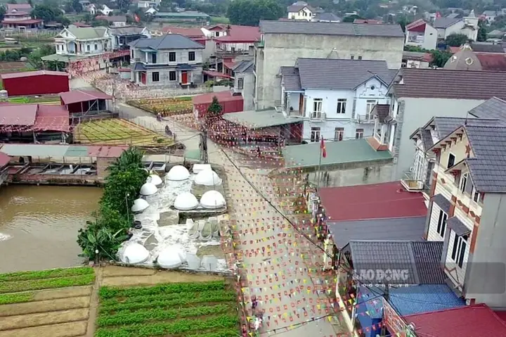 Làng Nuôi Cá Chép Đỏ: Hành Trình Về Với Nét Đẹp Văn Hóa Cổ Truyền