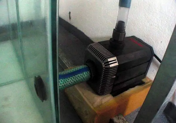 Cách Lắp Đặt Máy Bơm Bể Cá Đặt Ngoài Cách Lắp Đặt Máy Bơm Bể Cá Đặt Ngoài