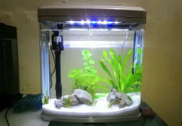 Hướng Dẫn Lắp Đặt Máy Bơm Bể Cá Hiệu Quả Đơn Giản Hướng Dẫn Lắp Đặt Máy Bơm Bể Cá Hiệu Quả Đơn Giản