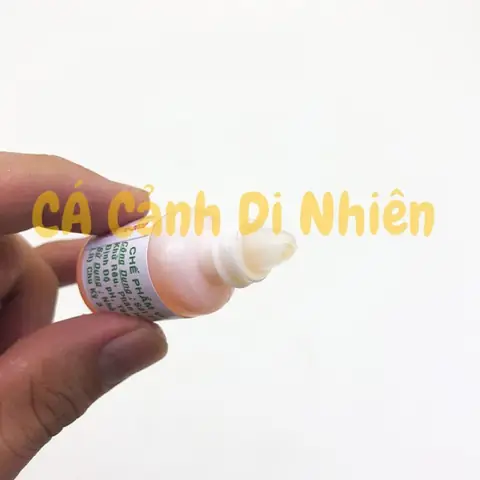 Lọ Vi Sinh Hồ Cá: Hướng Dẫn Toàn Diện Để Nuôi Cá Koi Khỏe Mạnh