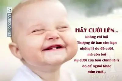 Loài Cá Nào Biết Khóc? Hiểu Rõ Hiện Tượng "nước Mắt Cá Sấu" Trong Thiên Nhiên Loài Cá Nào Biết Khóc? Hiểu Rõ Hiện Tượng "nước Mắt Cá Sấu" Trong Thiên Nhiên