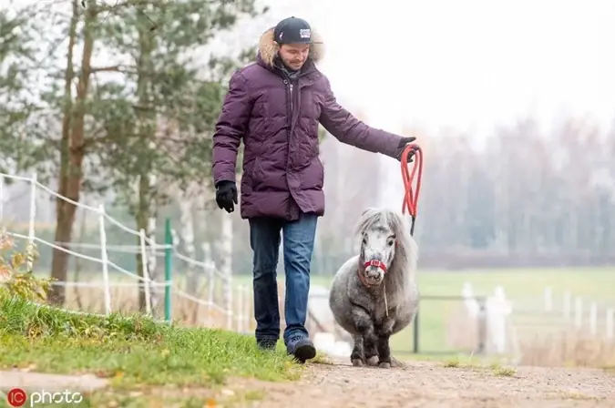 Ky Quac Loai Ngua Ngan Nhat The Gioi, Chua Bang Con Cho To-hinh-2