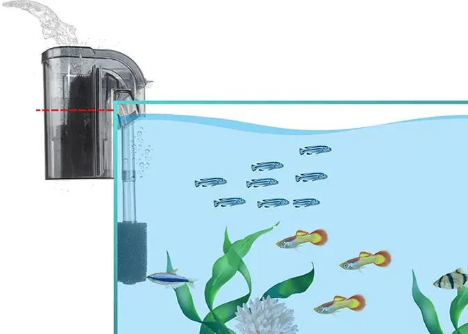 Kiểm Tra Lọc Và Bổ Sung Nước