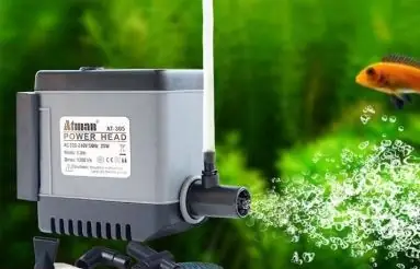 Cách Khắc Phục Lọc Bể Cá Bị Air Hiệu Quả Cho Người Nuôi Cá Cảnh