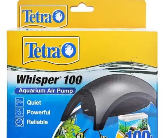 Cách Khắc Phục Lọc Bể Cá Bị Air Hiệu Quả Cho Người Nuôi Cá Cảnh