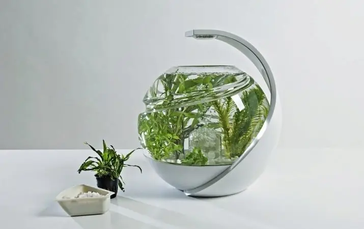 Sự Đa Dạng Và Tính Năng Của Bộ Lọc