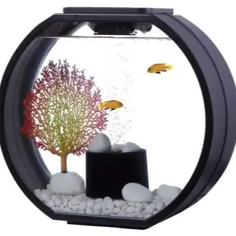 Làm Thế Nào Để Chọn Một Bộ Lọc Cho Một Bể Cá Tròn?