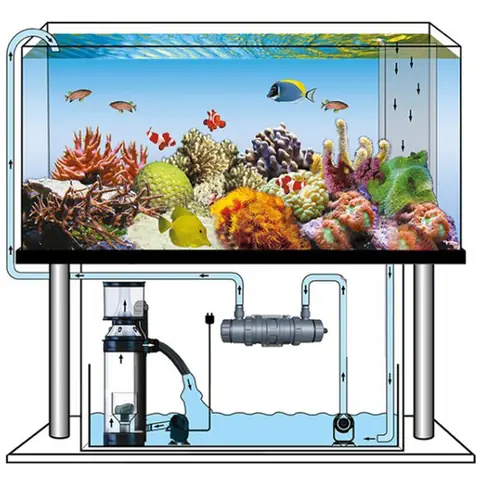 Lọc Bio Chế: Giải Pháp Lọc Cặn Hồ Cá Hiệu Quả Cho Người Nuôi Cá