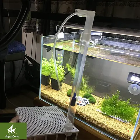 Lọc Bio Chế: Giải Pháp Lọc Cặn Hồ Cá Hiệu Quả Cho Người Nuôi Cá