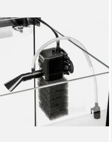 Hướng Dẫn Chọn Lọc Hồ Cá Bảy Màu Phù Hợp Cho Người Mới Bắt Đầu