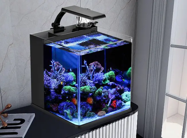 Hướng Dẫn Làm Hệ Thống Lọc Hồ Cá Đơn Giản Tại Nhà Để Nước Trong Veo