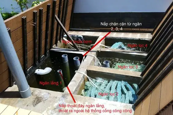 Vật Liệu Lọc Bể Cá Koi Bao Gồm Những Gì?