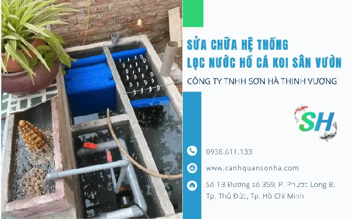 Hệ Thống Lọc Nước Hồ Cá Sân Vườn: Kiến Thức Toàn Diện Cho Người Yêu Cá
