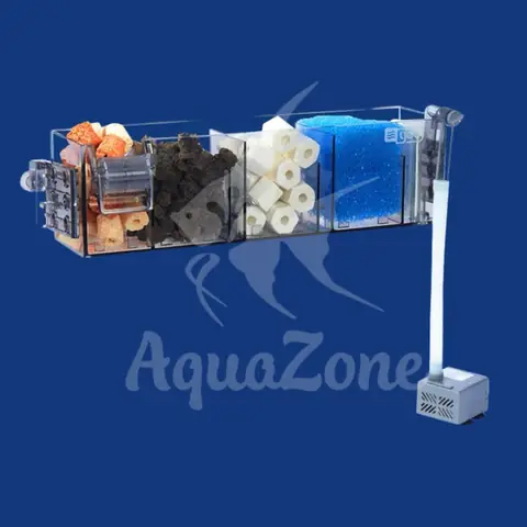 Hướng Dẫn Chi Tiết Về Hệ Thống Lọc Ngăn Bể Cá: Nguyên Lý, Lựa Chọn & Bảo Trì