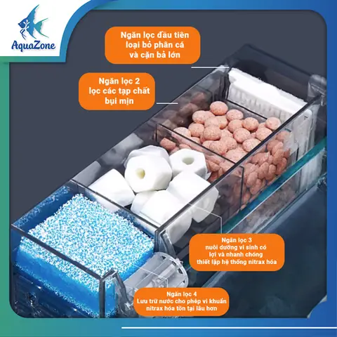 Hướng Dẫn Chi Tiết Về Hệ Thống Lọc Ngăn Bể Cá: Nguyên Lý, Lựa Chọn & Bảo Trì