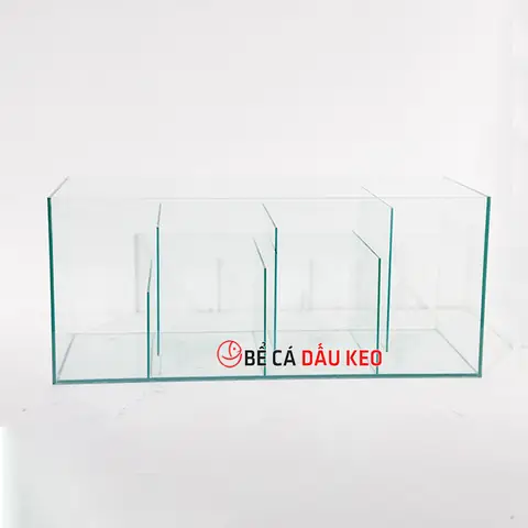 Hướng Dẫn Chi Tiết Về Hệ Thống Lọc Ngăn Bể Cá: Nguyên Lý, Lựa Chọn & Bảo Trì