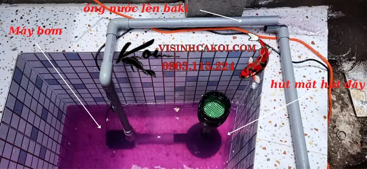 Hệ Thống Lọc Baki Hồ Cá Koi