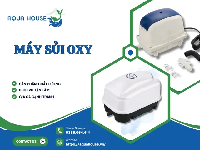 Máy Sủi Oxy Hồ Cá Chính Hãng Chất Lượng