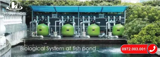 Đặc Điểm Bình Lọc Sinh Học Emaux Series Lf